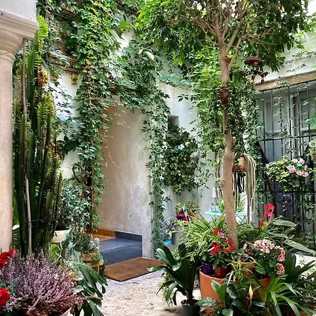 Casa De Huespedes Santa Maria (adults Only) Konukevi 3*