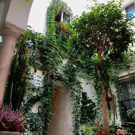 Casa De Huespedes Santa Maria (adults Only) 3*