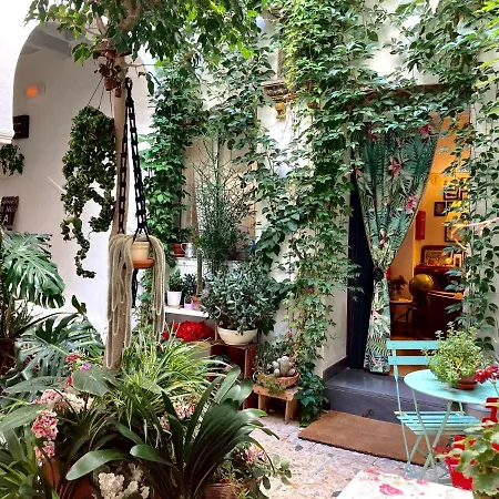 Casa De Huespedes Santa Maria (adults Only) Guest house 3*