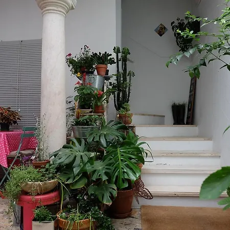 Guest house Casa De Huespedes Santa Maria (adults Only) 3*